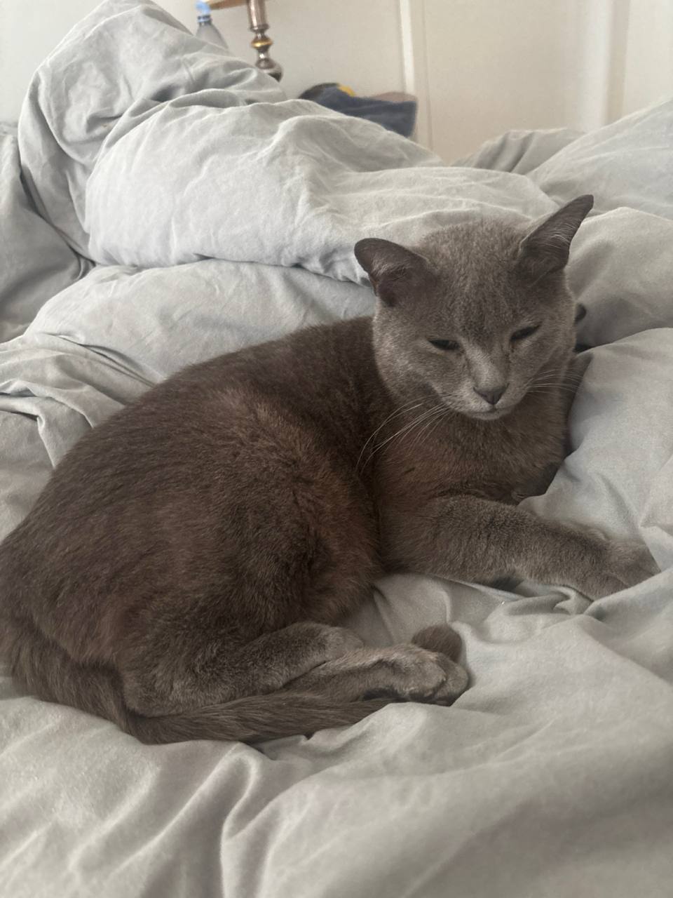 photo_2025-05-20 09.59.20.jpeg